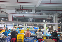 按制造 / 办公 / 餐饮 / 医疗 / 建筑等行业定制用工